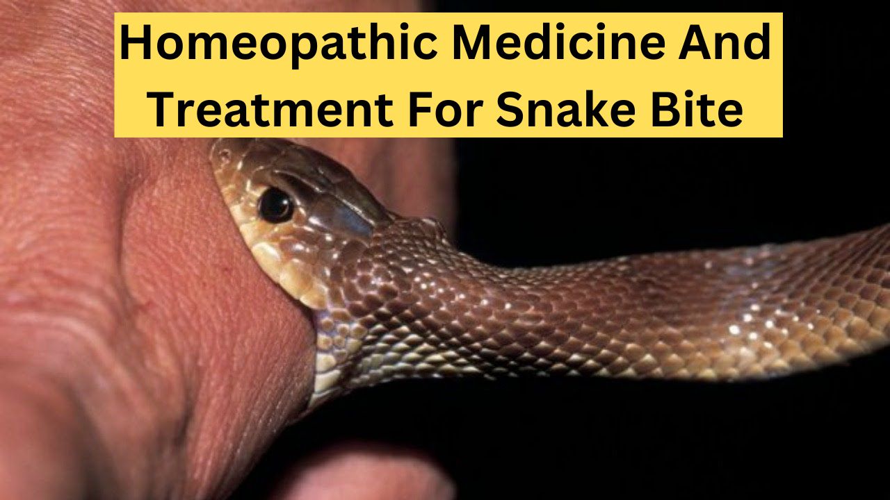 Homeopathic Medicine And Treatment For Snake Bite